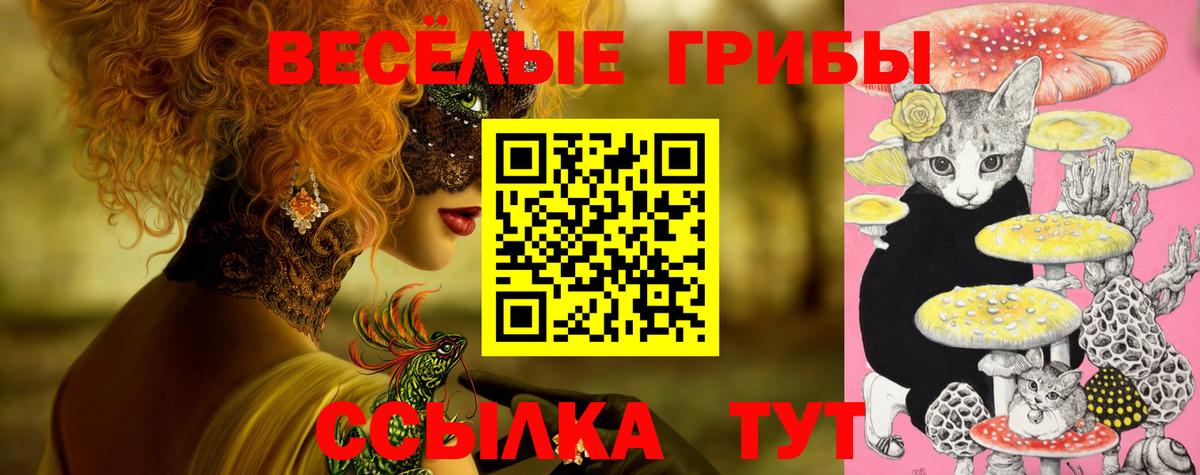 Тула  Псилоцибиновые грибы мицелий  Вход с VPN 